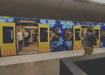 Är Sverigedemokraterna på rätt spår?