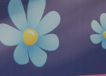 Sverigedemokraterna utan mask