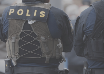 Tidöavtalet om kriminaliteten
