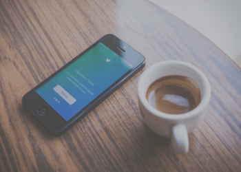 Är fågeln äntligen fri?