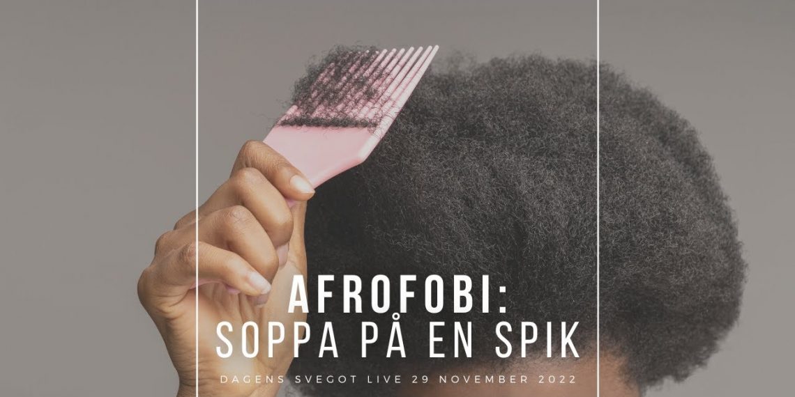 Afrofobi: Så kokar Brå soppa på en spik