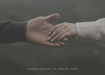 Den förhatlige mannen