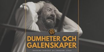 Dumheter och galenskaper