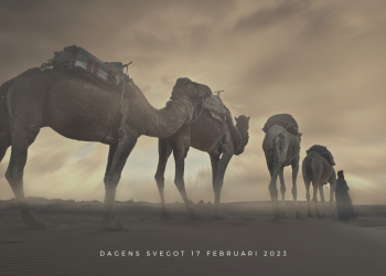 Säpo silar mygg och sväljer kamelfösare