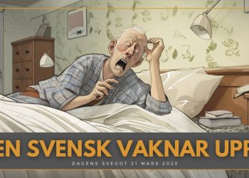 En svensk vaknar upp ur sin politiska dvala
