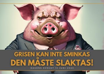 Grisen kan inte sminkas, den måste slaktas