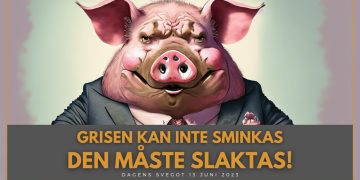 Grisen kan inte sminkas, den måste slaktas