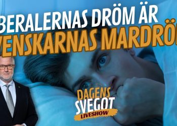 Liberalernas dröm är svenskarnas mardröm