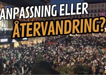 Europas vägskäl: Anpassning eller återvandring?