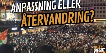 Europas vägskäl: Anpassning eller återvandring?