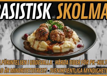 Vårt folk attackeras från skolmatsalen till Hollywood