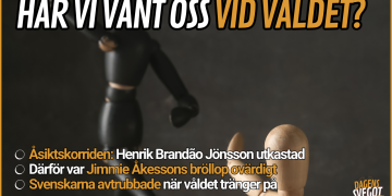 Åsiktskorridor och avtrubbning: Har svenskarna vant sig vid våldet?