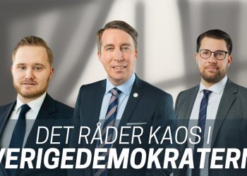 Kaos i Sverigedemokraterna: Kan Åkesson sitta kvar?