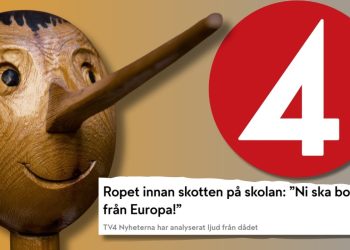 Vad sades EGENTLIGEN i Örebro? Experter slår hål på TV4:s påståenden