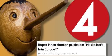 Vad sades EGENTLIGEN i Örebro? Experter slår hål på TV4:s påståenden