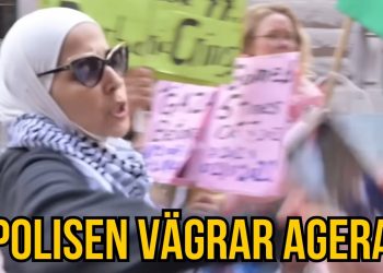 Det är nu okej att slå riksdagsledamöter!